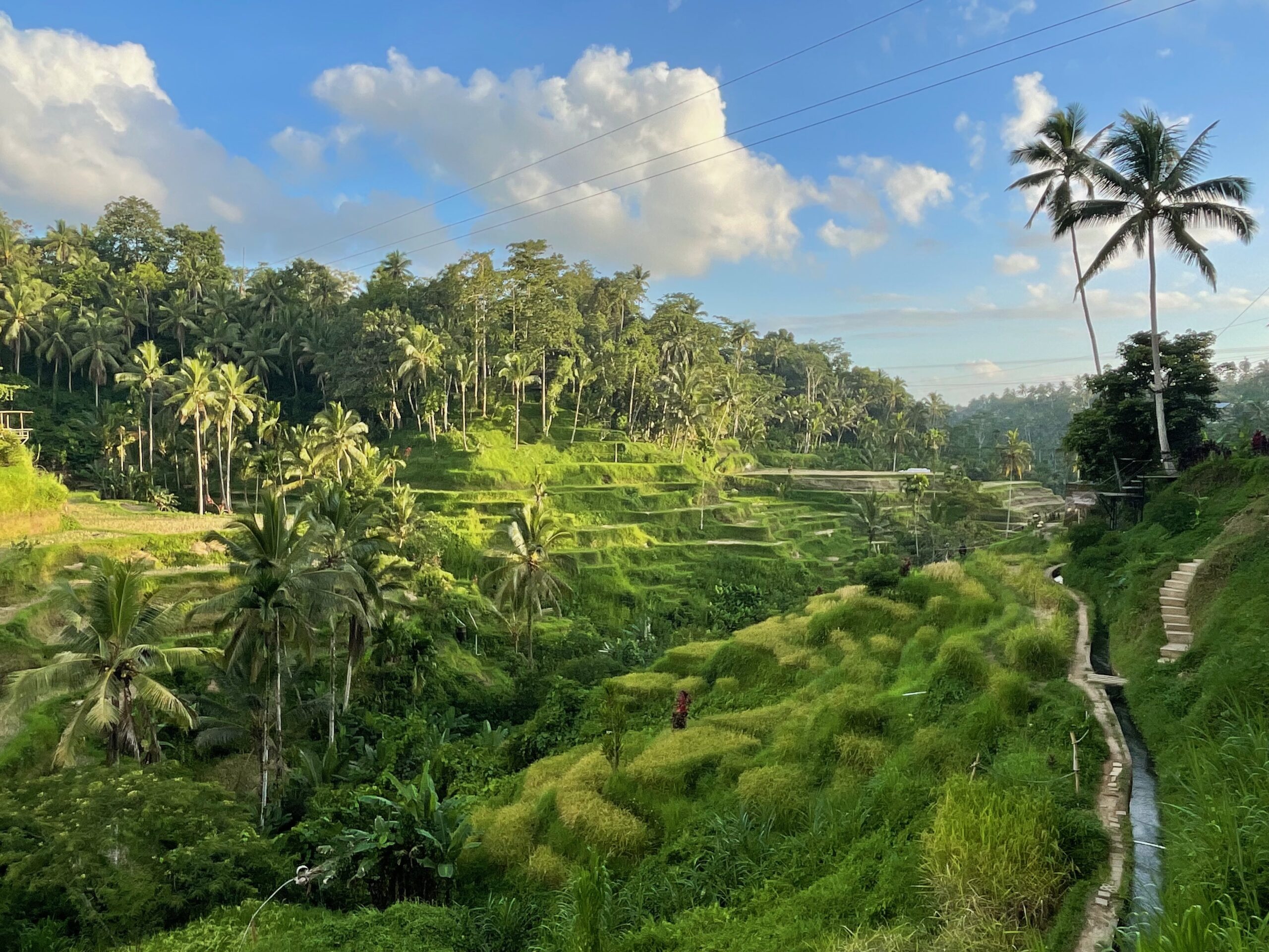 Our Balinese culture-packed itinerary. Things to see and do in Bali.